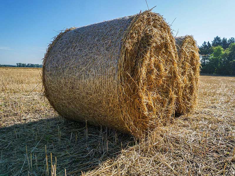 FORAGRI s.r.o. - prodej zemědělské, lesnické a komunální techniky.